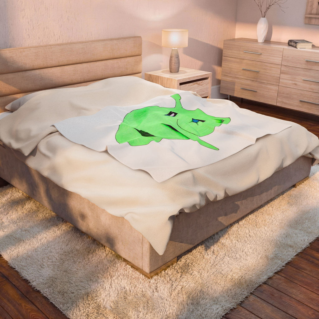 Velveteen Plush Blanket